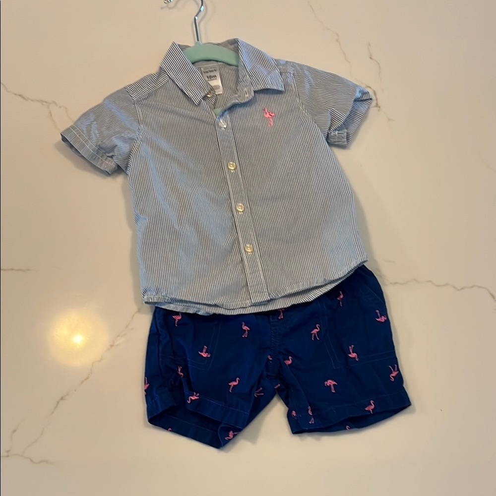 Carter's Blue and Pink Kids Matching Set